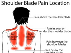shoulder blade pain