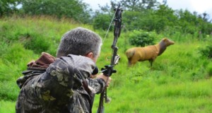 Hunting and Shooting