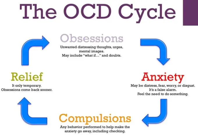 Understanding OCD: The Myths and Truths | Healthtian