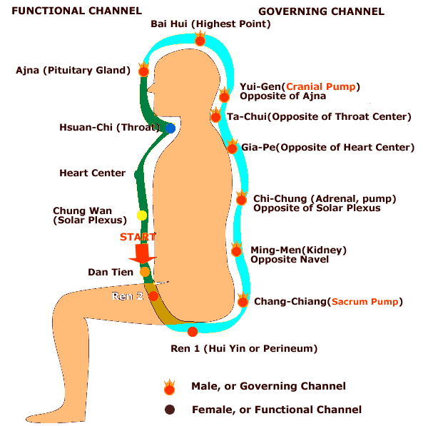 The Meditation Technique