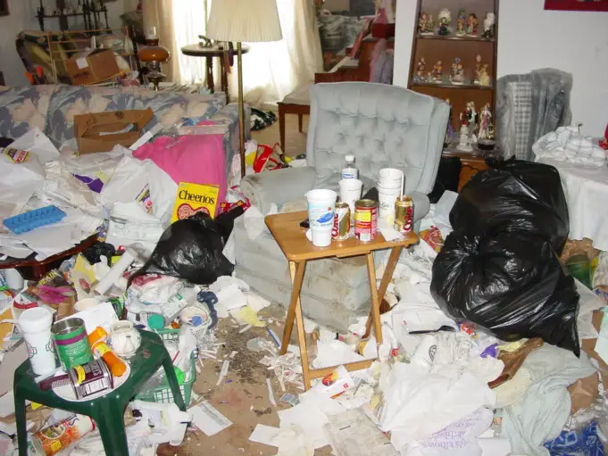Messy Home