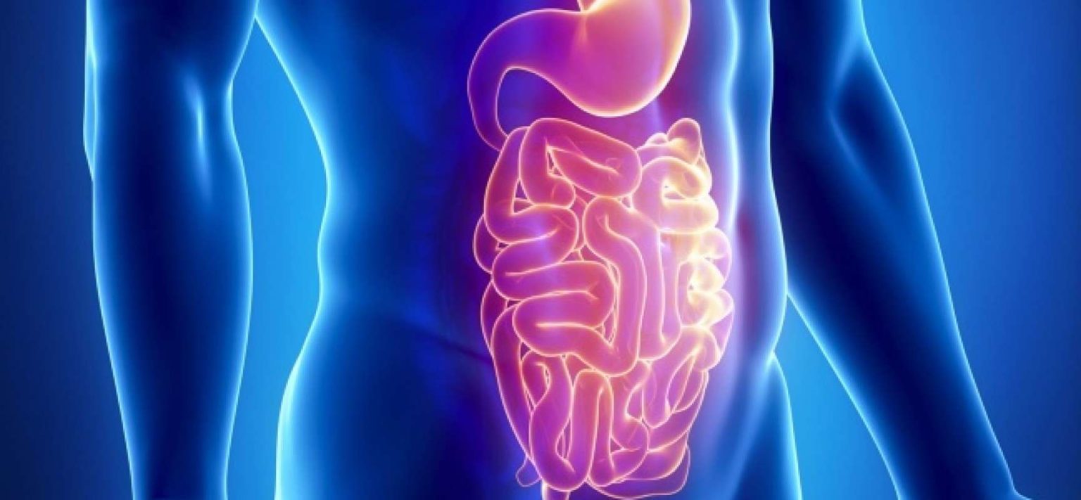 What Is Gastroenteritis? | Healthtian