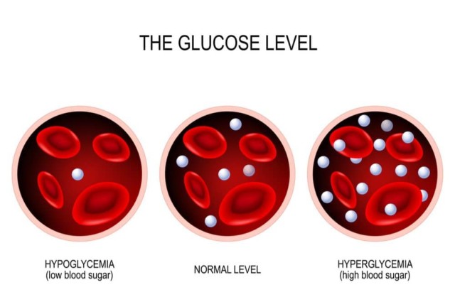 Difference Between Hypoglycemia and Hyperglycemia | Healthtian