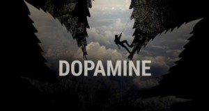 Dopamine Levels