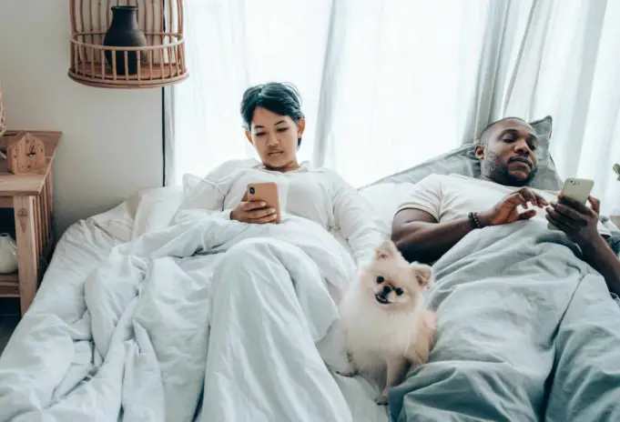 multiracial couple surfing mobile phones lying in bed with dog after awakening