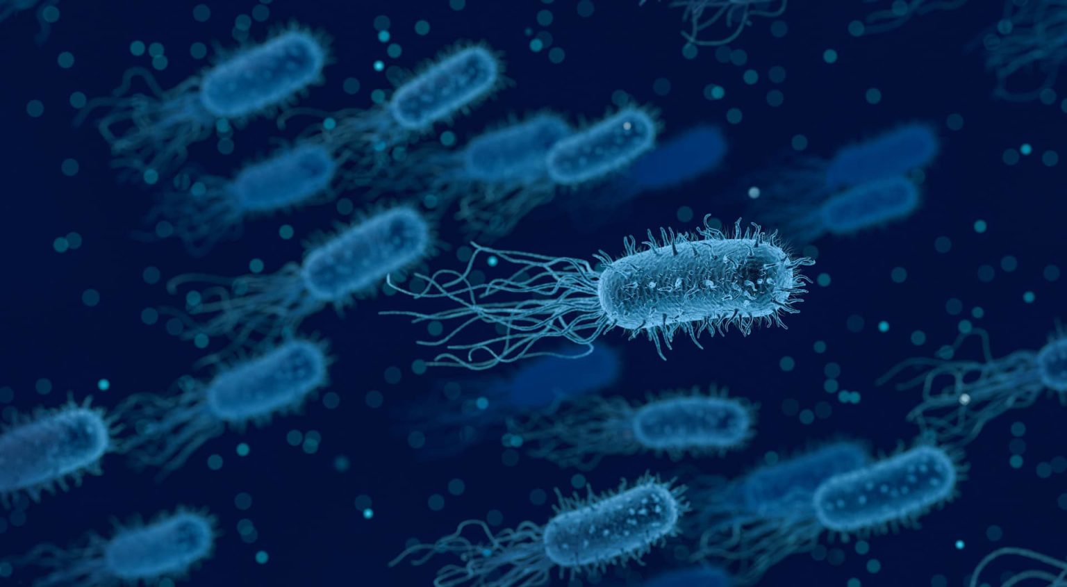 Microorganisms - An introduction