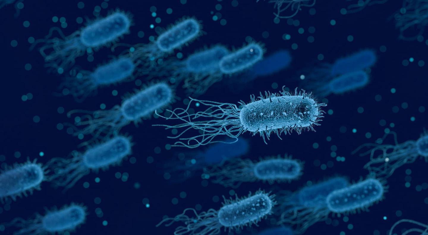 Bacteria1.jpg?ezimgfmt=rs%3Adevice%2Frscb2-1