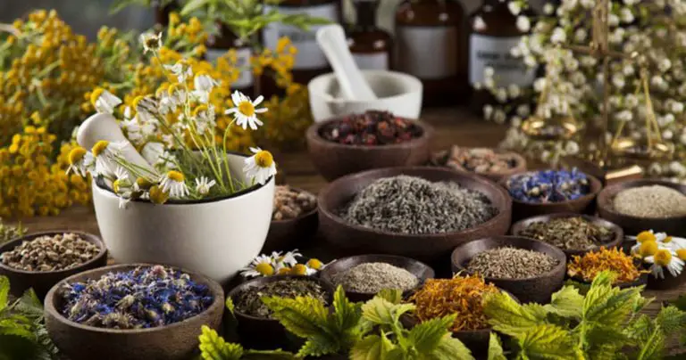 Naturopaths and Naturopathy: Important Facts You Need to Know | Healthtian