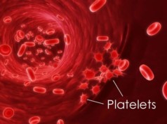 Blood Platelet