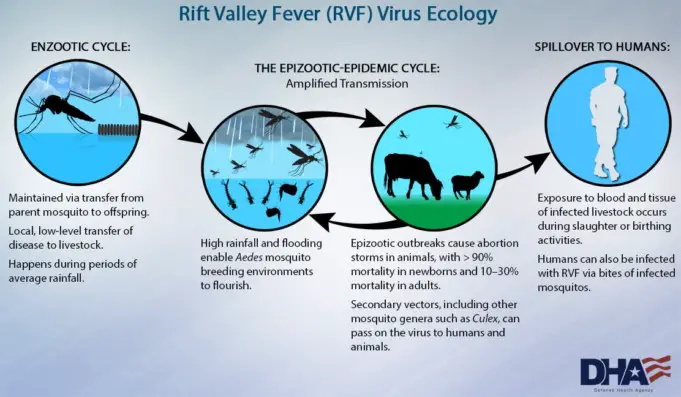 Rift Valley Fever