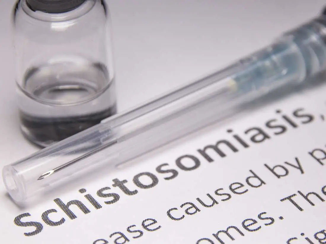 Bilharzia Schistosomiasis Causes Symptoms Treatment And Prevention