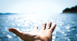 person hand reaching body of water