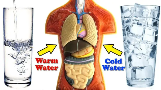 Cold Water Vs Warm Water