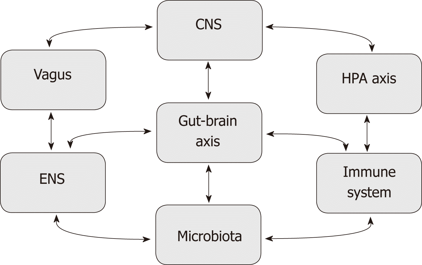 Gut-brain Axis