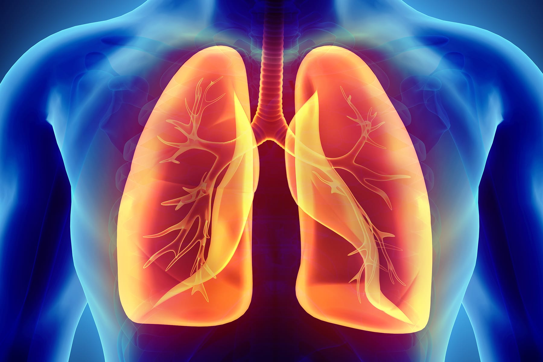 Coronavirus and Your Lungs: How Does COVID-19 Affect Your Lungs ...