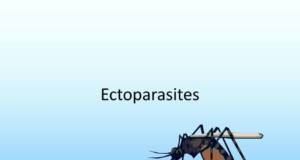 ectoparasites