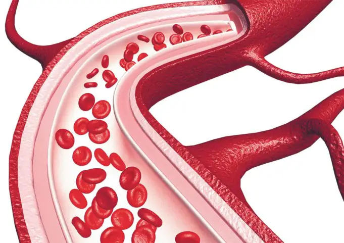Understanding Blood Thinners And How They Work