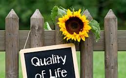 Improve Your Quality of Life