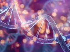 A Better Understanding of DNA