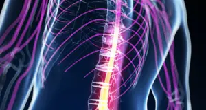 Spinal Cord Injuries